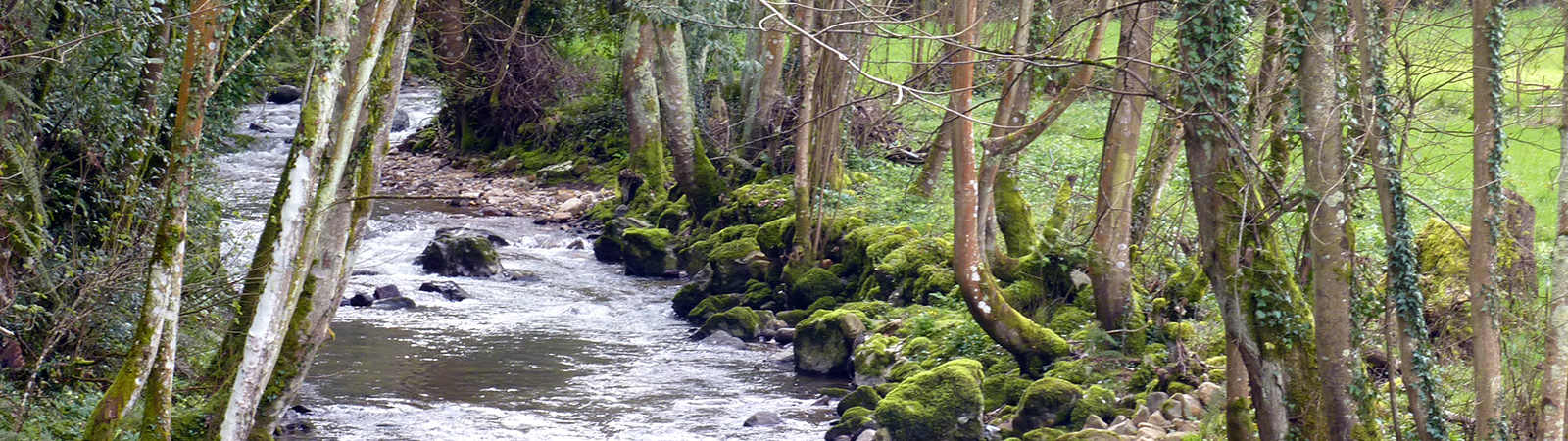 Río Nonaya